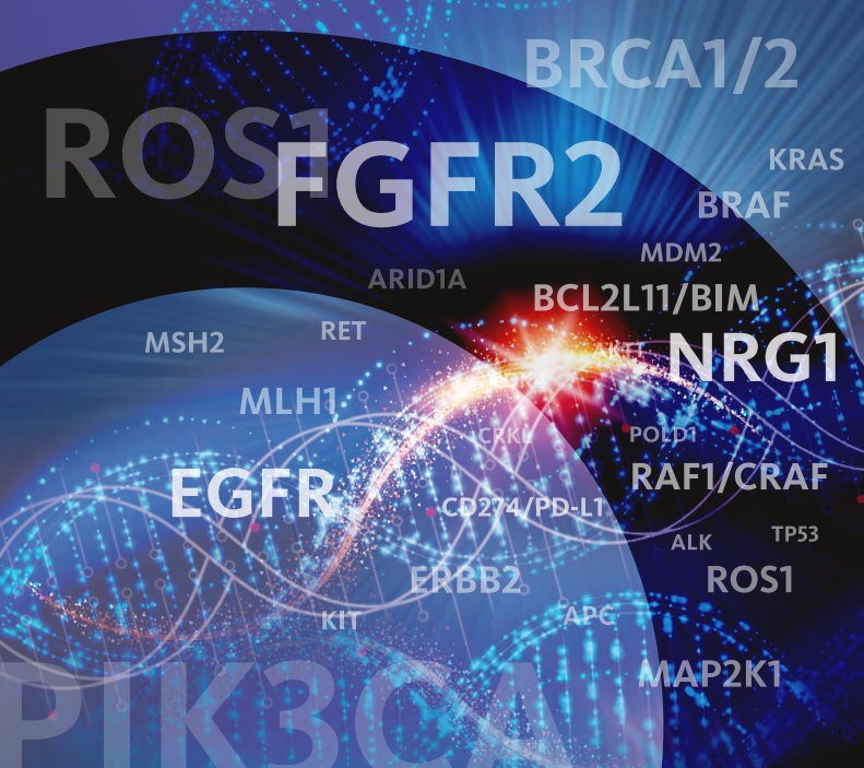 遺伝子変異解析セット（がんゲノムプロファイリング検査用）OncoGuide™ NCCオンコパネル システム