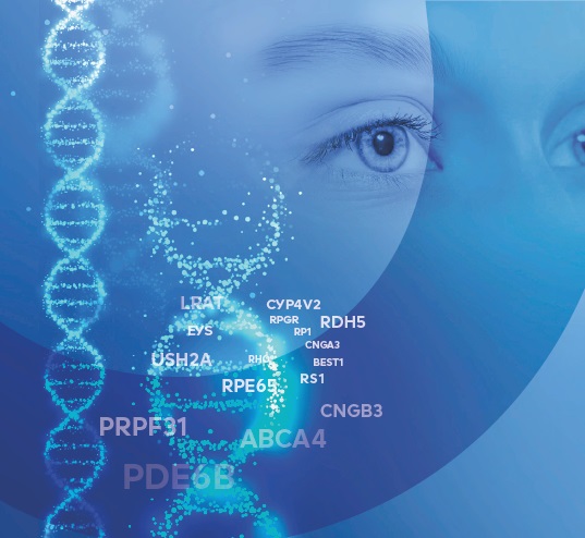 生殖細胞系列遺伝子変異解析セット（疾患原因遺伝子検査用） PrismGuide™ IRDパネル システム
