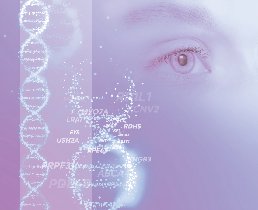 生殖細胞系列遺伝子変異解析セット（疾患原因遺伝子検査用） PrismGuide™ IRDパネル システム