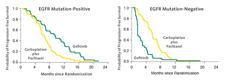 ゲフィチニブ投与肺がん患者におけるEGFR遺伝子変異型/野生型の比較