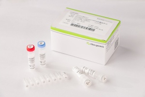 OncoGuide™ EpiLight™メチル化検出キット